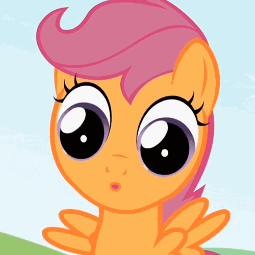 Friendship Pony GIF by Cheezburger Find & Share on GIPHY