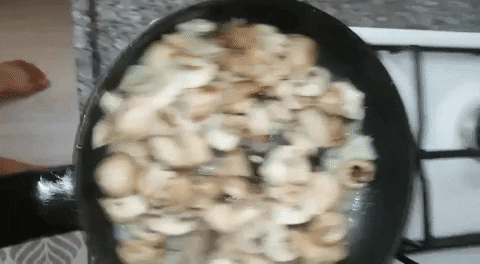 giphy.gif