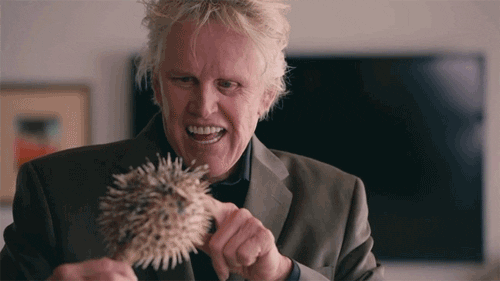 Image result for gary busey gif