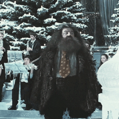 Harry Potter Yule Ball GIF - Find & Share on GIPHY