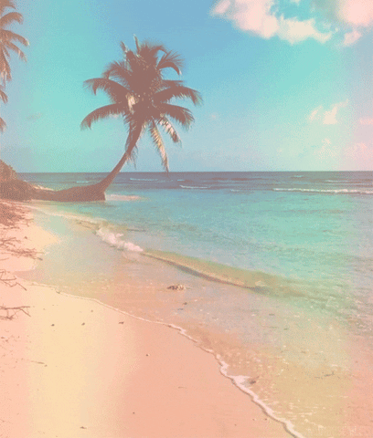 Happy summer gif find share on giphy