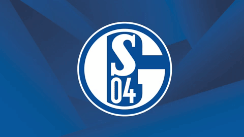 GIF by FC Schalke 04 - Find & Share on GIPHY