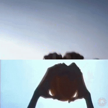 The lion king in hollywood gifs