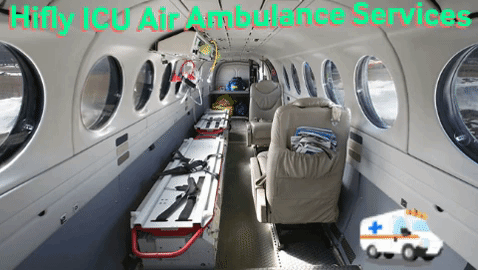 Air Ambulance Services from Patna to Delhi