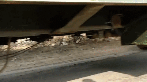 🚛 Why Madhubani Is Emerging as Bihar's Next Logistics Hub 🚚 6