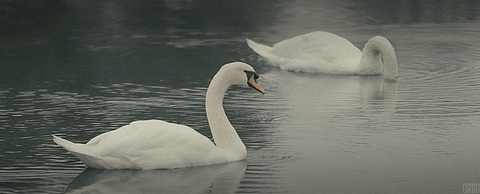 Related image