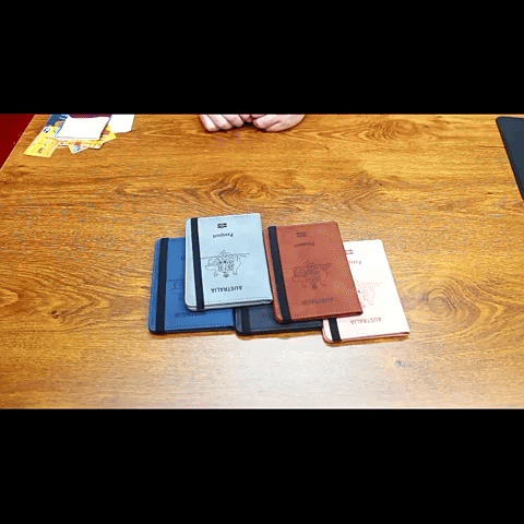 Travel Safe Compact Passport Organizer