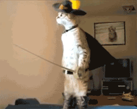 puss in boots