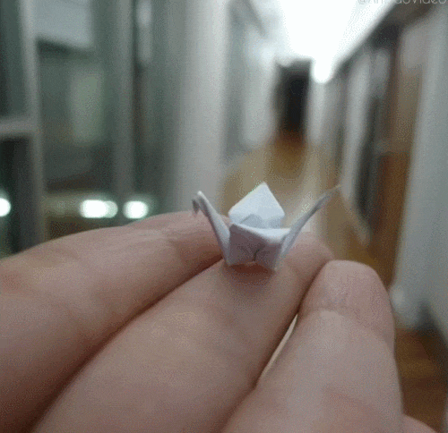 Origami Satisfying GIF - Find & Share on GIPHY