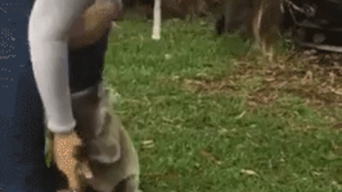 Cuteness best Gif