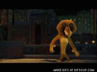 Madagascar GIF - Find & Share on GIPHY