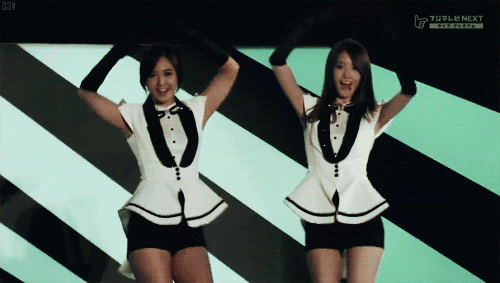 paparazzi gif rabbit