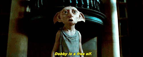 Image result for for free dobby gif