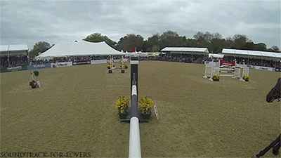 Horse Riding GIF - Find & Share on GIPHY