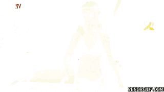giphy.gif