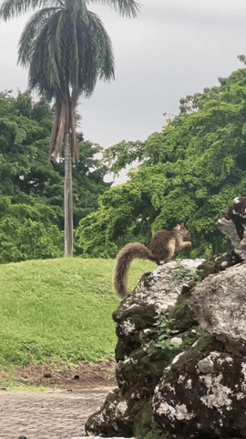 panamá viejo