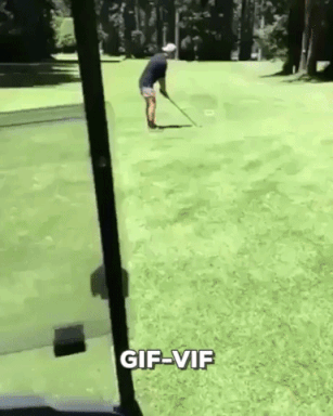 Double Take in funny gifs