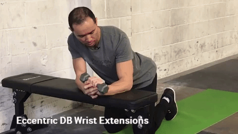 lateral epicondylitis exercises - Eccentric DB Wrist Extensions