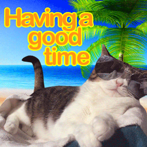 Cool Cat Chill GIF - Find & Share on GIPHY