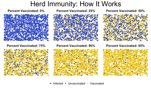 Kako deluje kolektivna imunost