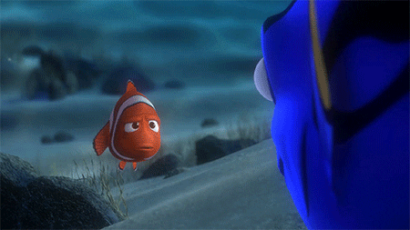 Serious Finding Nemo GIF