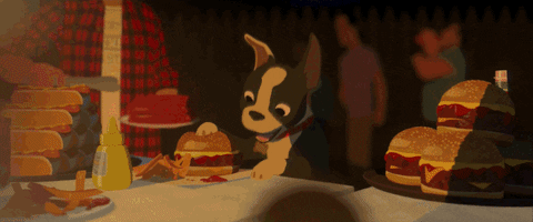 Dog in a food feast