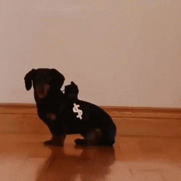 Dog Police GIF - Find & Share on GIPHY