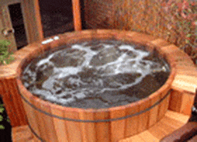 Hot Tub GIFs - Get the best GIF on GIPHY