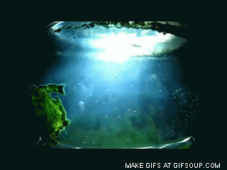 Image result for Sea-Monkeys gif