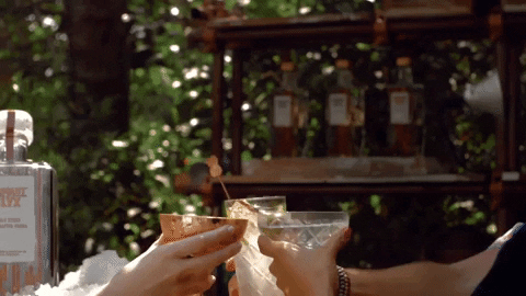 Cheers Drinks GIF by Absolut Elyx