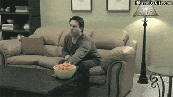 giphy.gif