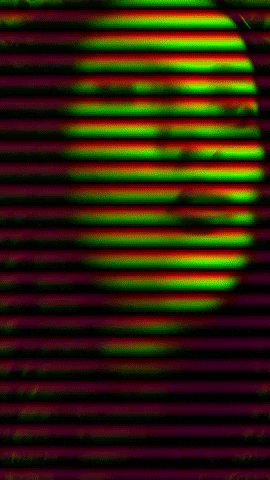 Brazil Blinds