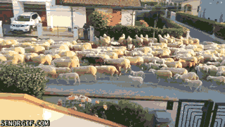 İyi Bir Marka Yaratmak