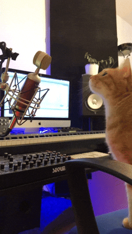 Gif