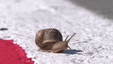 SLOW JULY