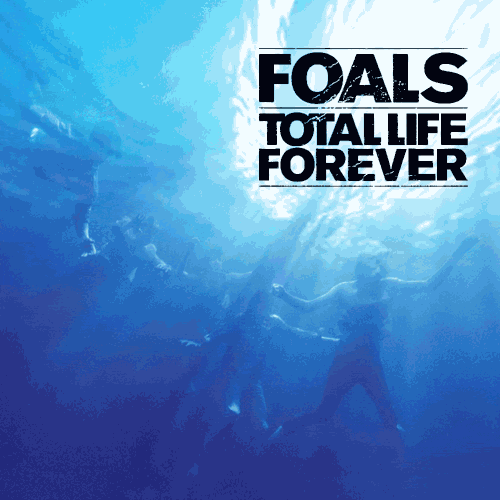 Life Wtf GIF Find & Share on GIPHY