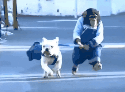dog meme running animal friendship chimp