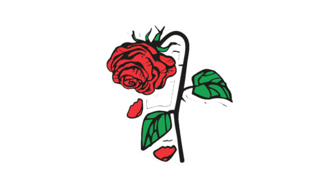 Fashion Rose Sticker by Verticals Agency for iOS & Android | GIPHY
