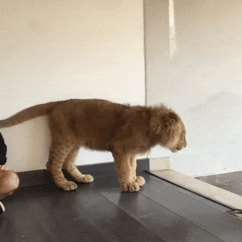 Time Snuggle GIF - Find &amp; Share on GIPHY