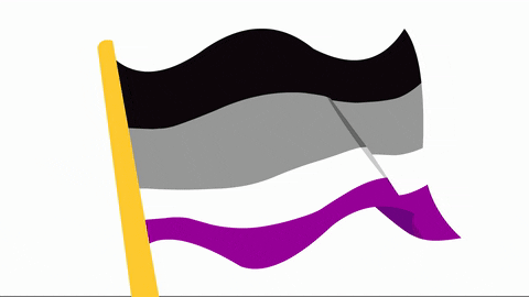 Bildergebnis für ace pride flag meme