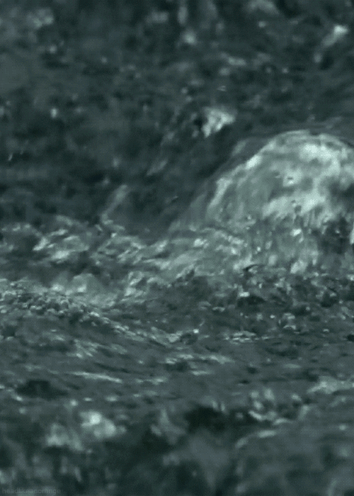 Water Landscape GIF by Head Like an Orange Find & Share on GIPHY