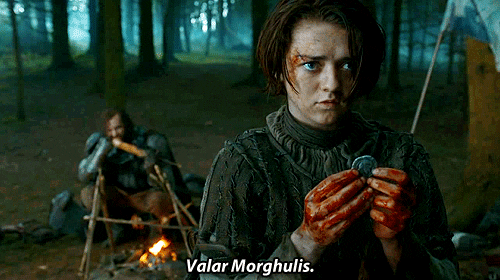 Game Of Thrones House GIF
