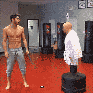 giphy.gif
