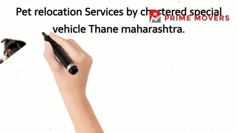 Animal Transportation Pet Relocation Services Thane Maharashtra