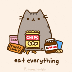 cat enjoying snacks gif