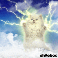 Pixel Cat