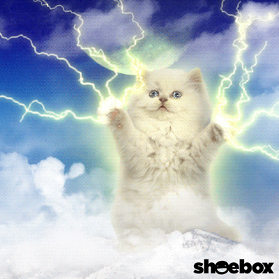 A cat reaches towards the sky, emitting lightning from its paws