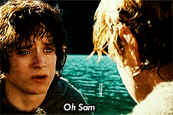 The Lord Of The Rings Sam GIF - Find & Share on GIPHY