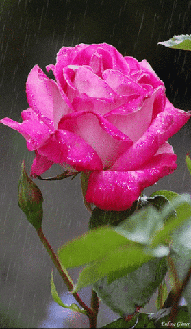 Related image