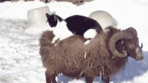 Winter Ride best Gif